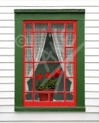Trinity window